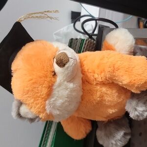 Animal Adventure Graduate Bear